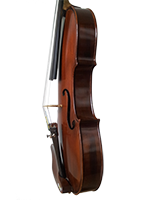 Violina 1 Bok